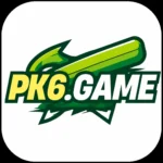 PK6 GAme